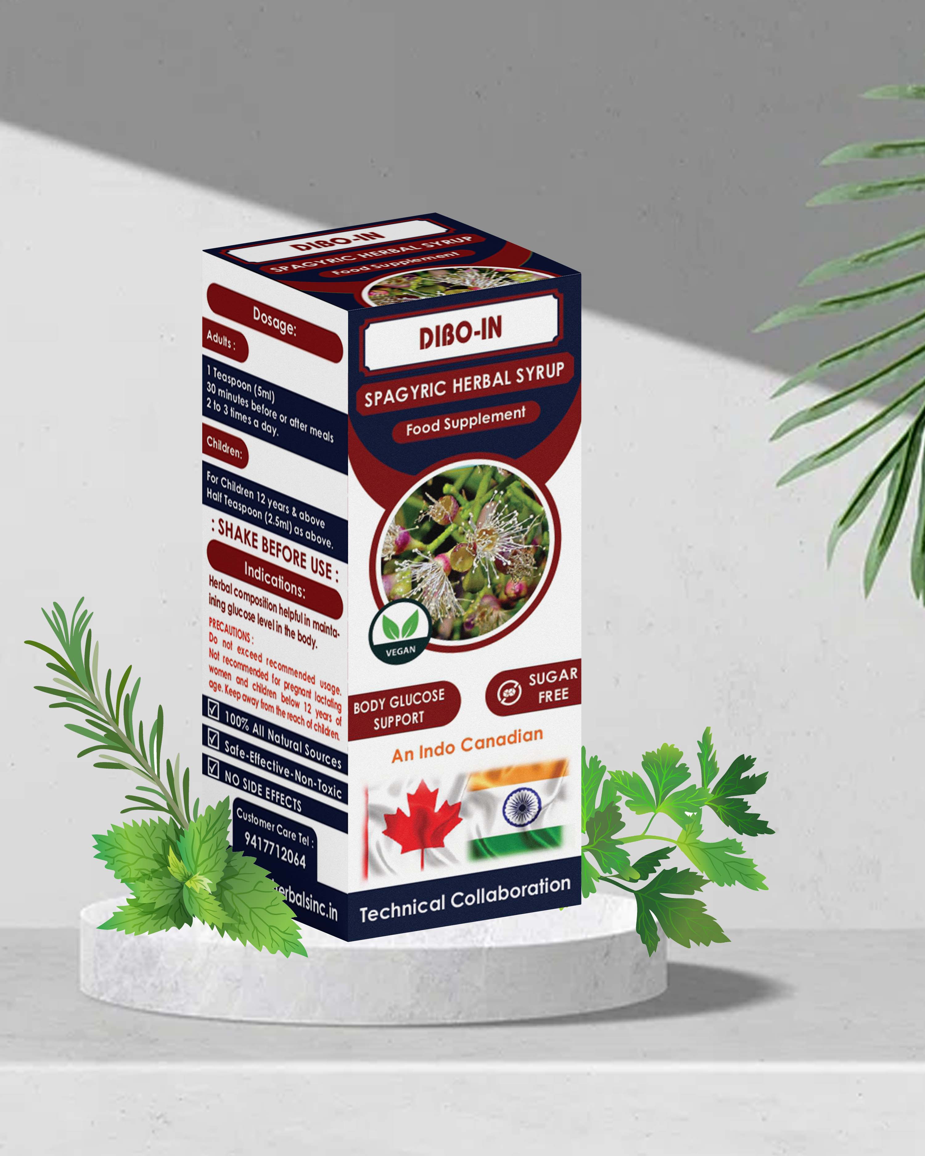 DIBO-IN (Regulation of Blood Glucose Level)