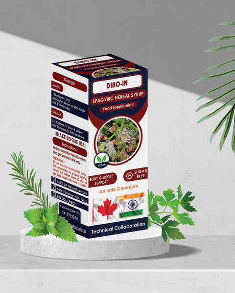 DIBO-IN (Regulation of Blood Glucose Level)