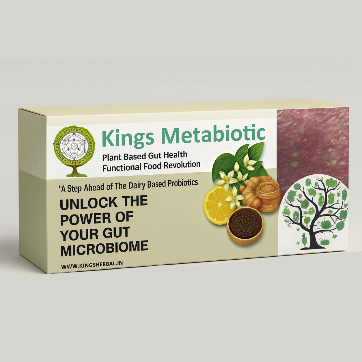 Kings Metabiotic - Herbal Based Probiotic